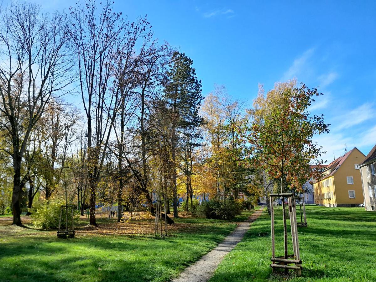 Apartment Riegerovka Хеб Экстерьер фото