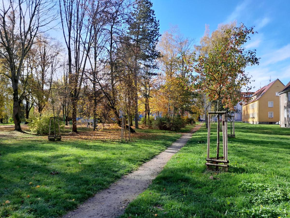 Apartment Riegerovka Хеб Экстерьер фото
