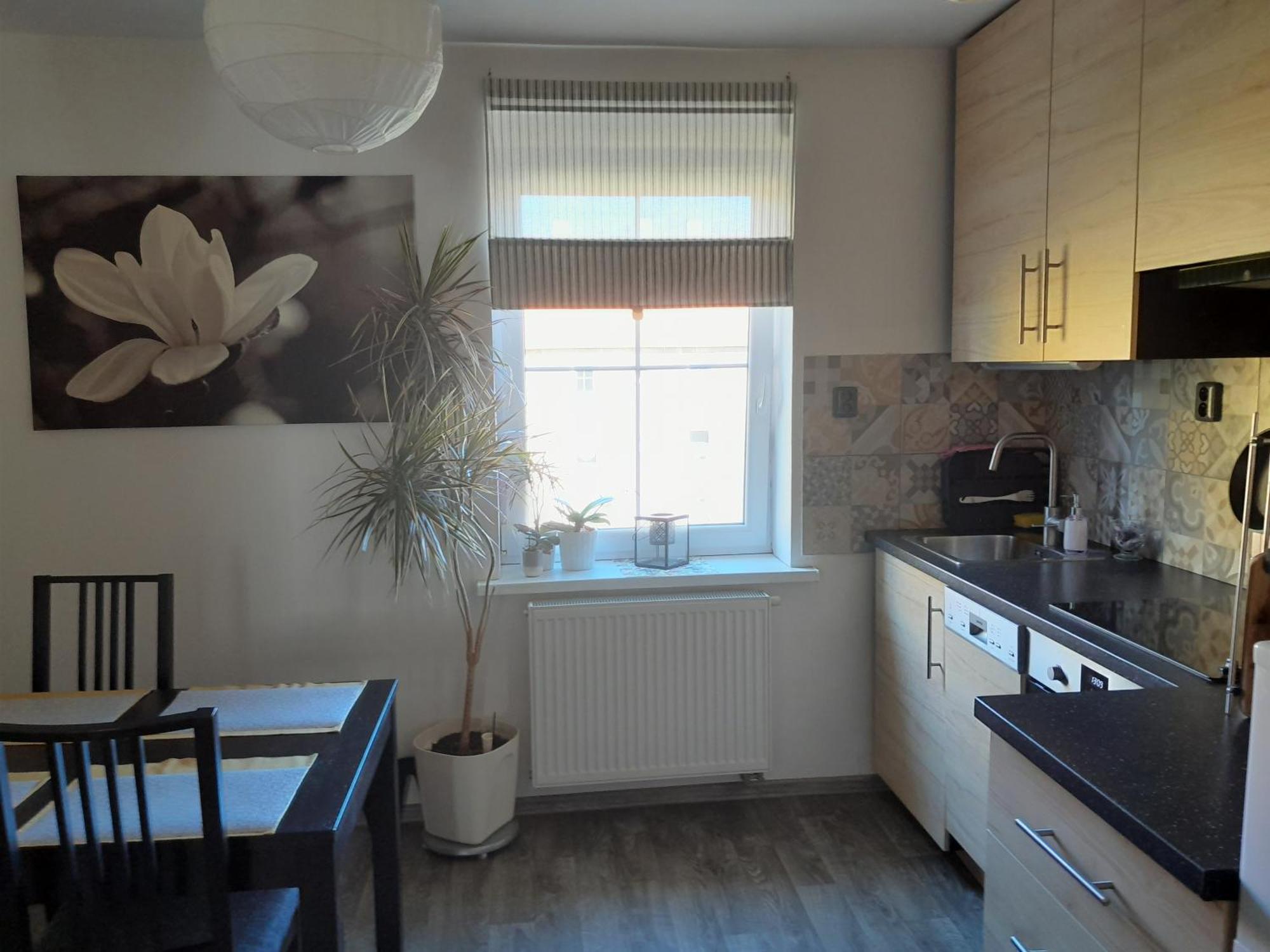 Apartment Riegerovka Хеб Экстерьер фото